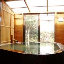 天然温泉 とよみずの湯